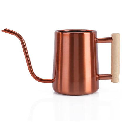Watering Can Indoor Plants, 35 oz/1000 ml Metal Stainless Steel Watering Can Pot with Long Spout for Indoor House Plants Bonsai Outdoor Garden Flower Decorative (Sage Green)
