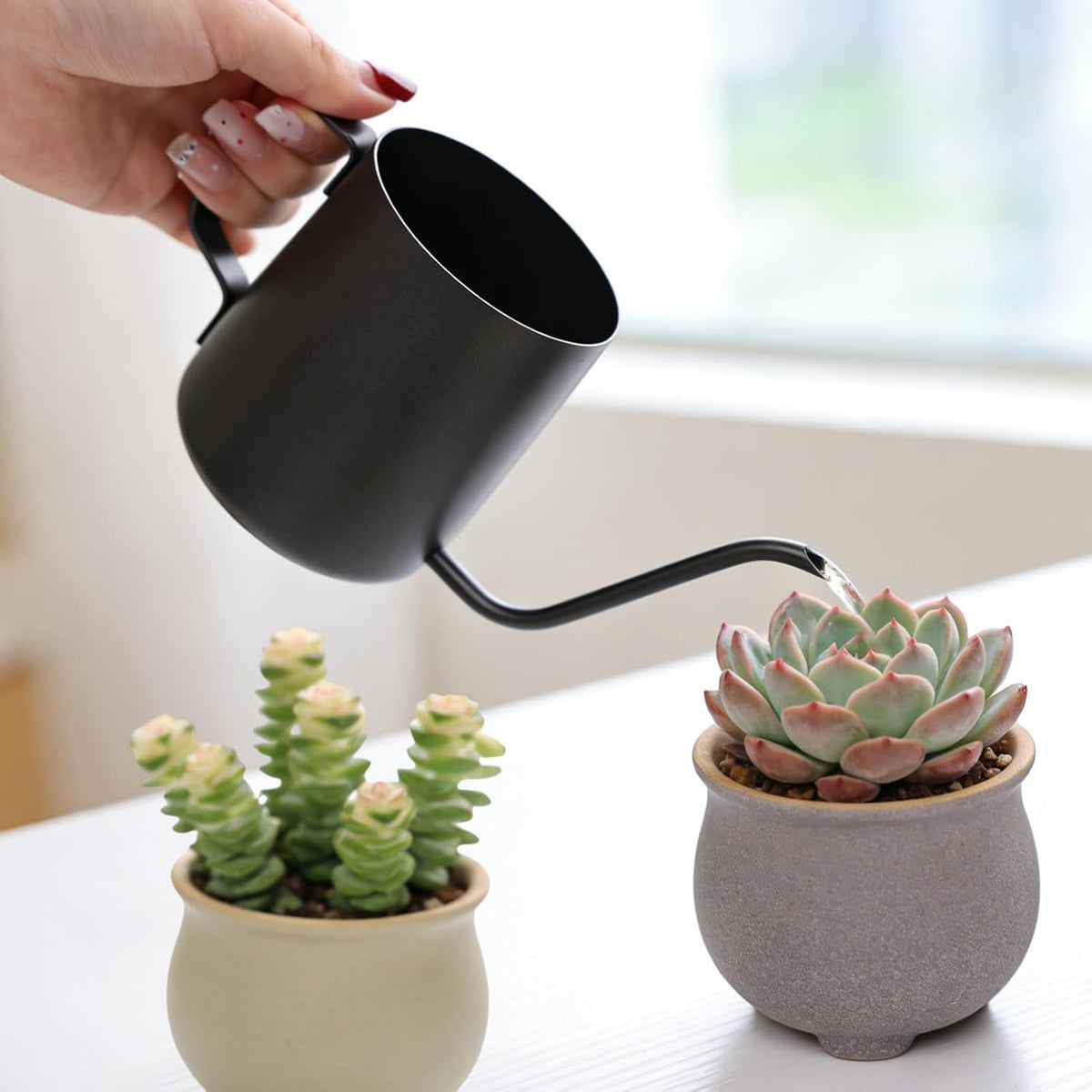 Watering Can for Indoor Plants, 12 oz Mini Plant Waterer for Bonsai Flower