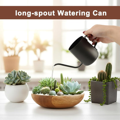 Watering Can for Indoor Plants, 12 oz Mini Plant Waterer for Bonsai Flower
