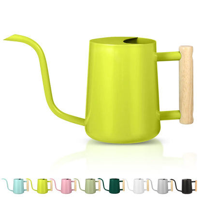 Watering Can Indoor Plants, 35oz Small Indoor Stainless Steel Metal Watering Can Modern Decorative Watering Pot with Long Spout for Indoor House Plant Bonsai Garden Flowers (Sage Green)