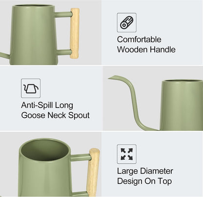 Watering Can Indoor Plants, 35 oz/1000 ml Metal Stainless Steel Watering Can Pot with Long Spout for Indoor House Plants Bonsai Outdoor Garden Flower Decorative (Sage Green)
