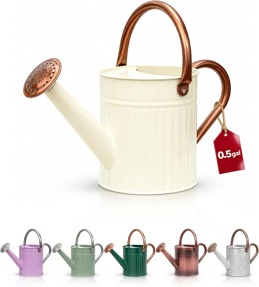 Bamworld Metal Watering Can for Indoor Outdoor Plant 1/2 Gallon Creamy