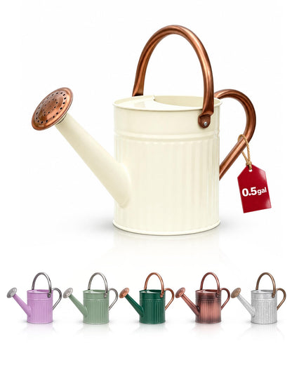 Bamworld Metal Watering Can for Indoor Outdoor Plant 1/2 Gallon Creamy