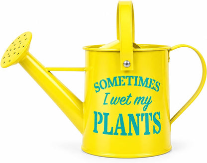 Small Indoor Watering Can - Galvanized Metal - Gardening Gifts for Women