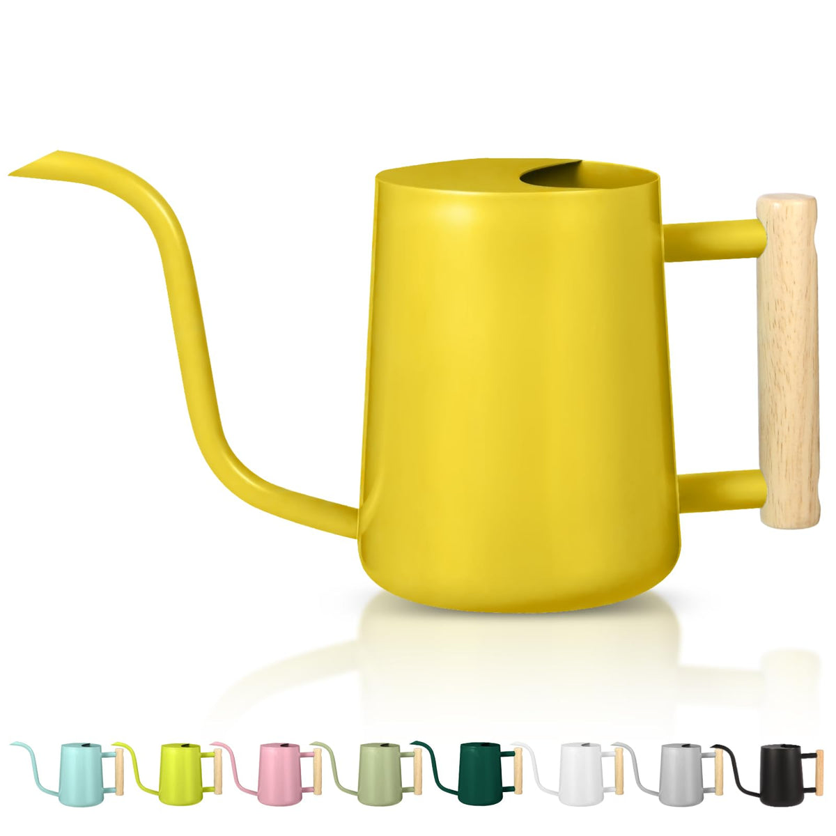 Watering Can Indoor Plants, 35oz Small Indoor Stainless Steel Metal Watering Can Modern Decorative Watering Pot with Long Spout for Indoor House Plant Bonsai Garden Flowers (Sage Green)