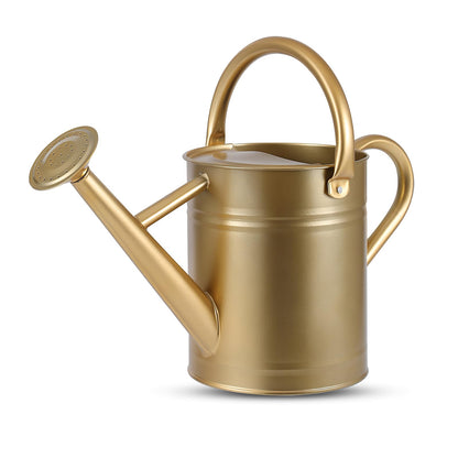 1 Gallon Watering Can for Plants, Watering Cans for Indoor&Outdoor Gardening, Galvanized Steel Watering Pot with Removable Spout, Metal Water Can with Ergonomic Movable Handle(Cream Green)