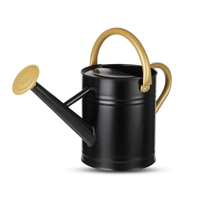 1 Gallon Watering Can for Plants, Watering Cans for Indoor&Outdoor Gardening, Galvanized Steel Watering Pot with Removable Spout, Metal Water Can with Ergonomic Movable Handle(Cream Green)