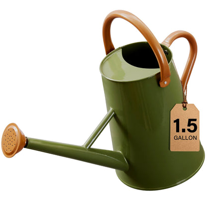 Watering Can for Outdoor&Indoor Plants，1.5 Gallon，Black