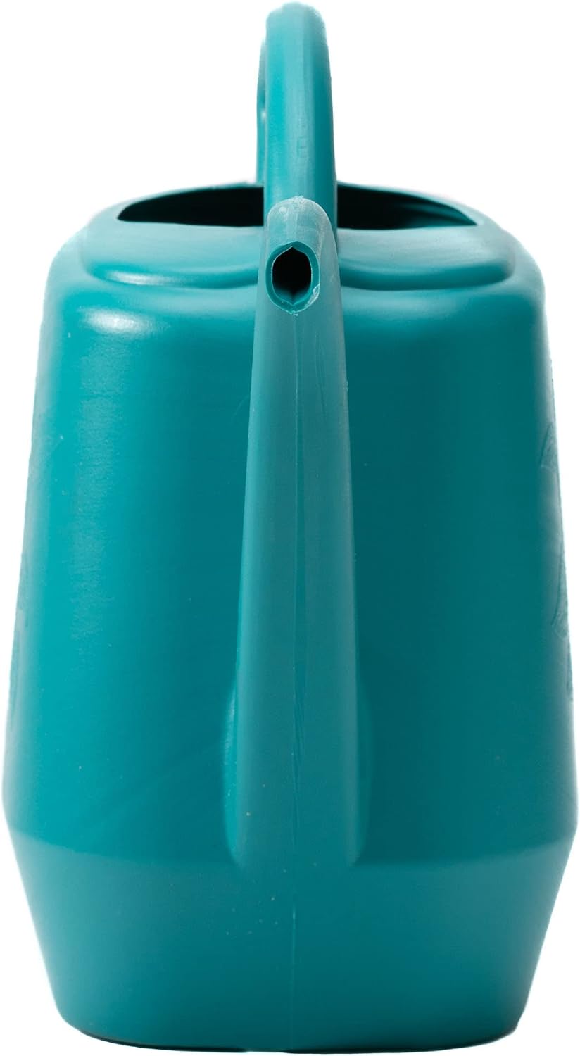 Bloem Aqua Rite Watering Can: 56 Oz - Bermuda Teal - Large Capacity, Extra Long Spout, Durable Plastic, One Piece Construction, for Indoor & Outdoor Use, Gardening