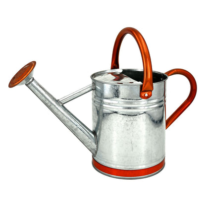 Metal Watering Can for Outdoor Plants, 1 Gallon Galvanized Steel Watering Can with Removable spout for Outdoor & Indoor Use, Perfect for Garden Flower, Houseplants, Forest Green