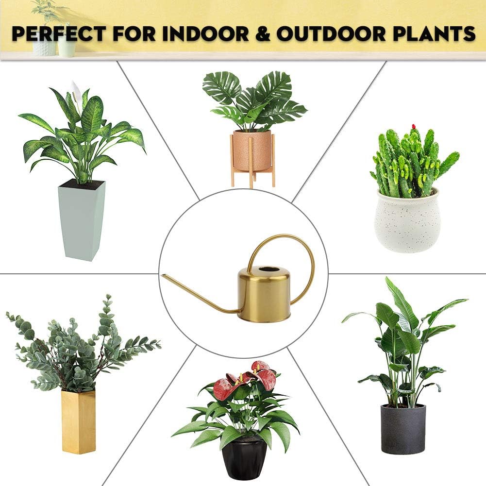 Remiawy Watering Can Indoor Outdoor Stainless Steel Watering Cans for House Plants Long Spout Water Can for Succulent Bonsai Garden Flower(40oz/1300ml)