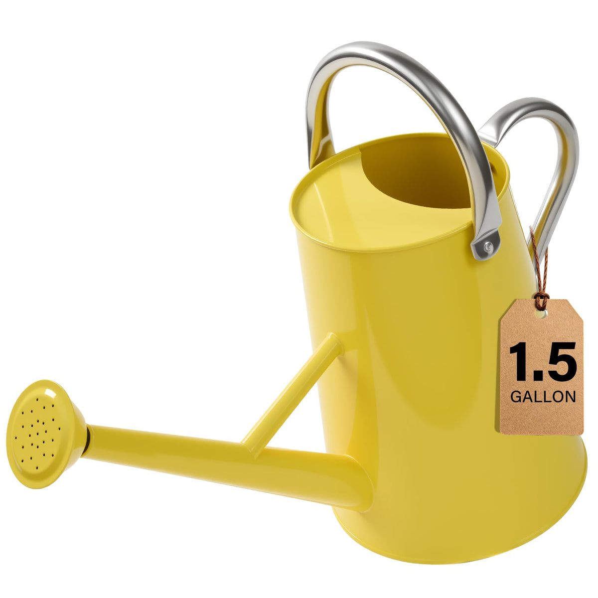 Watering Can for Outdoor&Indoor Plants，1.5 Gallon，Black