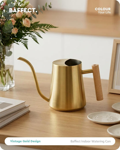 Baffect Indoor Watering Can for House Plant & Small Bonsai (1L, Brass Gold)