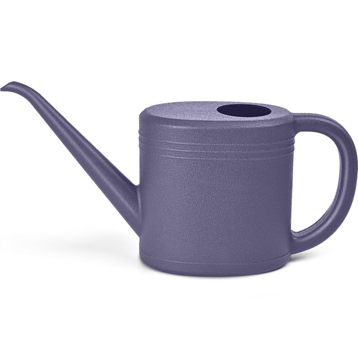 Watering Can - for Indoor and Outdoor Plant Garden - 1/4 Gallon - Green