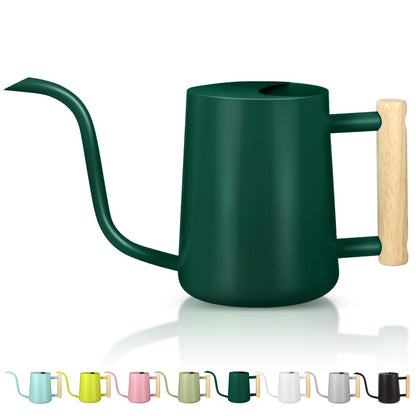 Watering Can Indoor Plants, 35oz Small Indoor Stainless Steel Metal Watering Can Modern Decorative Watering Pot with Long Spout for Indoor House Plant Bonsai Garden Flowers (Sage Green)