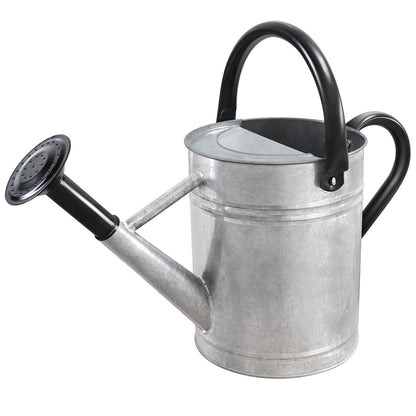 Metal Watering Can with Removable Spout, Galvanized Steel Plants Water Can for Women, Men and Kids' Outdoor or Indoor Gardening - Nice Flower Watering Pot Gift & Decoration (Ocean Blue, 0.6 Gallon)