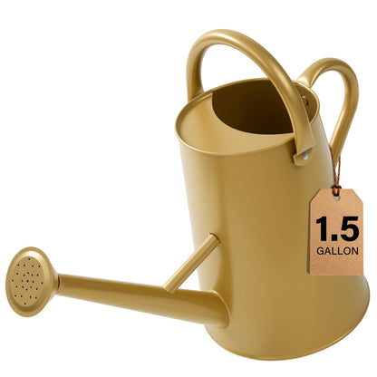 Watering Can for Outdoor&Indoor Plants，1.5 Gallon，Black