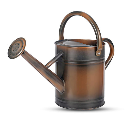 1 Gallon Watering Can for Plants, Watering Cans for Indoor&Outdoor Gardening, Galvanized Steel Watering Pot with Removable Spout, Metal Water Can with Ergonomic Movable Handle(Cream Green)