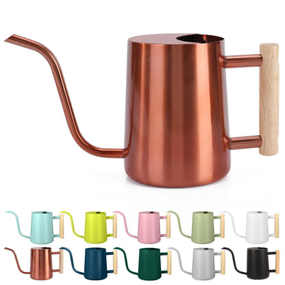 Watering Can Indoor Plants, 35oz Small Indoor Stainless Steel Metal Watering Can Modern Decorative Watering Pot with Long Spout for Indoor House Plant Bonsai Garden Flowers (Sage Green)