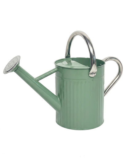Bamworld Metal Watering Can for Indoor Outdoor Plant 1/2 Gallon Creamy