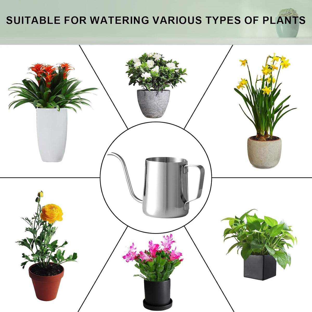Doseno Small Watering Can for Indoor Plants, Plant Watering Can, 12 oz