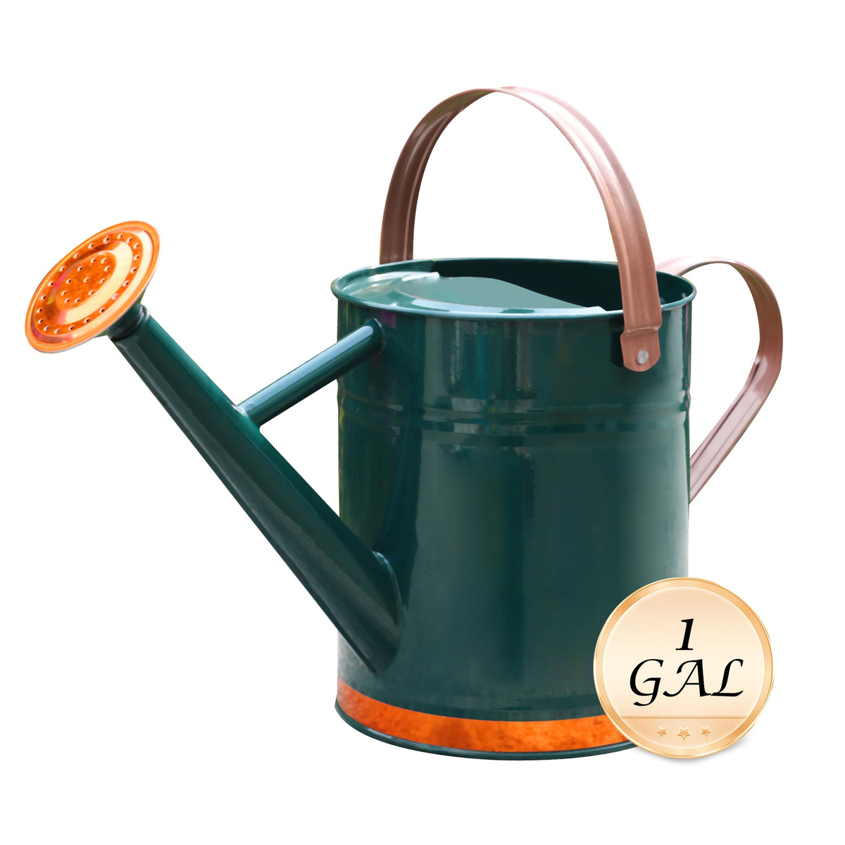 Metal Watering Can for Outdoor Plants, Watering Can Decor 1 Gallon (Zinc)