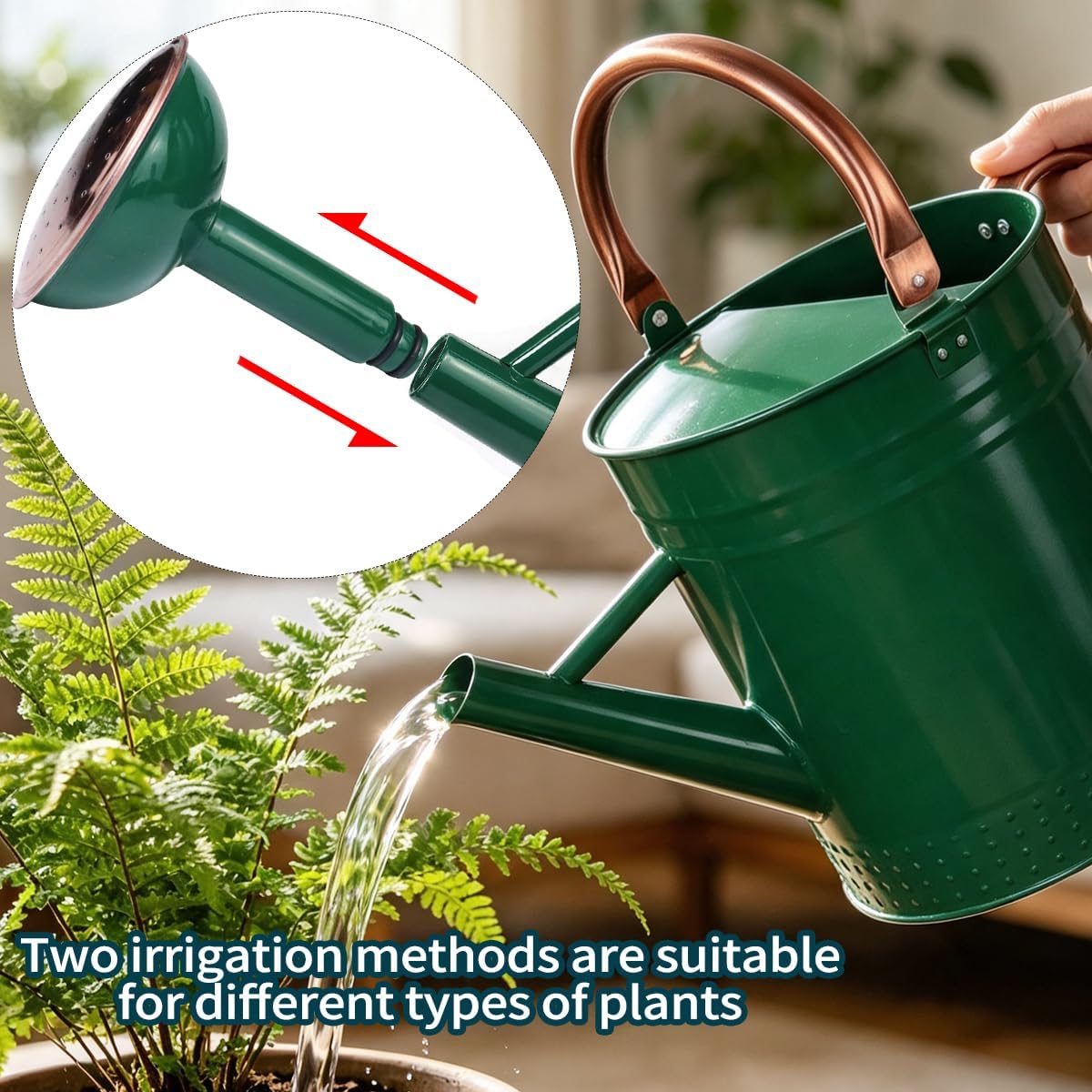 2 Gallon Meltal Garden Watering Can Removable Spout, Galvanized Steel Large Water Can with Embossed Design for Outdoor Indoor Plants (Green, 2 Gallon)