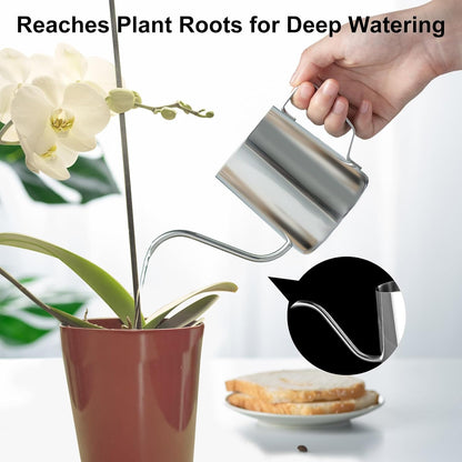 Doseno Small Watering Can for Indoor Plants, Plant Watering Can, 12 oz