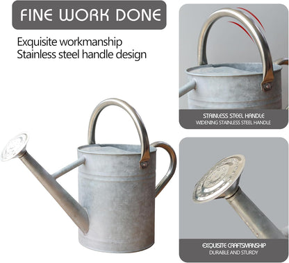 Metal Watering Can for Outdoor Plants, Watering Can Decor 1 Gallon (Zinc)