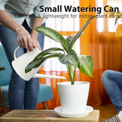 60 oz Watering Can, Watering Can Indoor Plants, Long Spout Small Water can