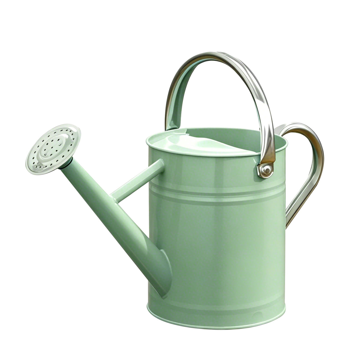 Metal Watering Can for Outdoor Plants, Watering Can Decor 1 Gallon (Zinc)