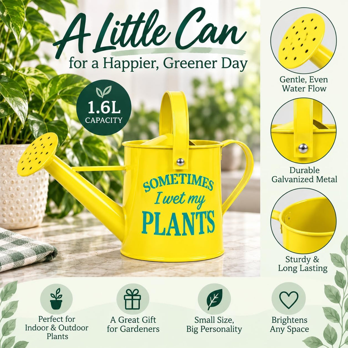 Small Indoor Watering Can - Galvanized Metal - Gardening Gifts for Women