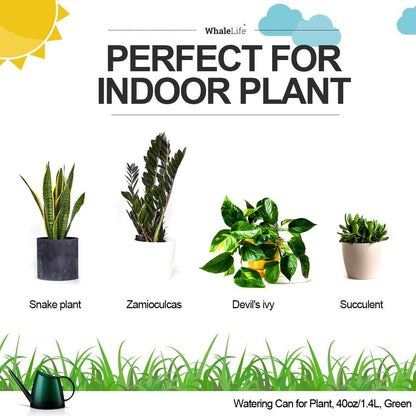 WhaleLife Small Indoor Plant Watering Can - 1.4L Dark Green Long Spout