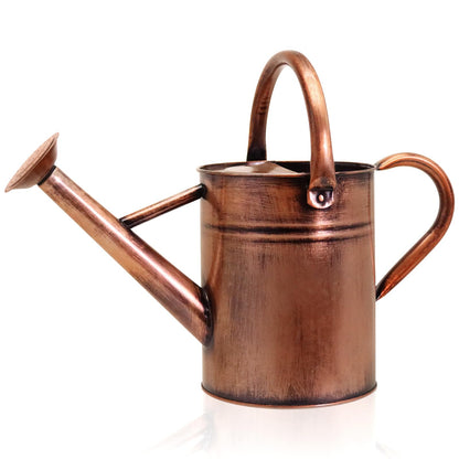 Metal Watering Can with Removable Spout, Galvanized Watering Can, Perfect for Indoor Use and for Outdoor Use (1 Gallaon, Metal)