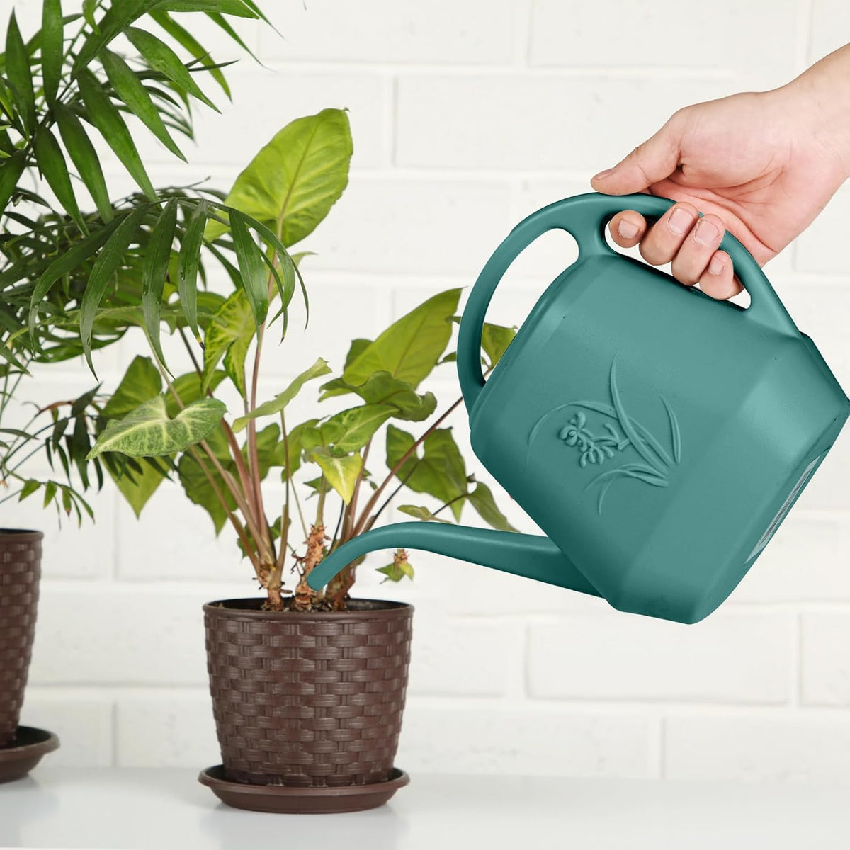 Watering Can - for Home Plant Garden Grip - 1 Gallon - Green