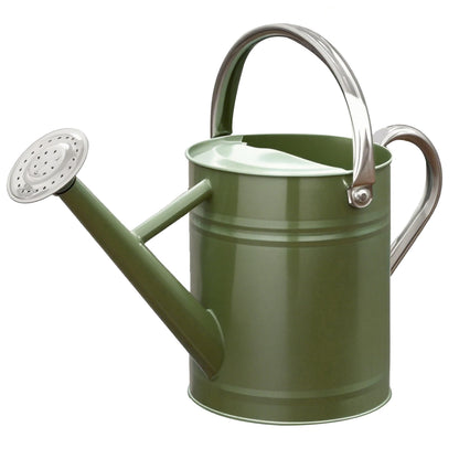 Metal Watering Can 1 Gallon for Outdoor Garden Plants, Green