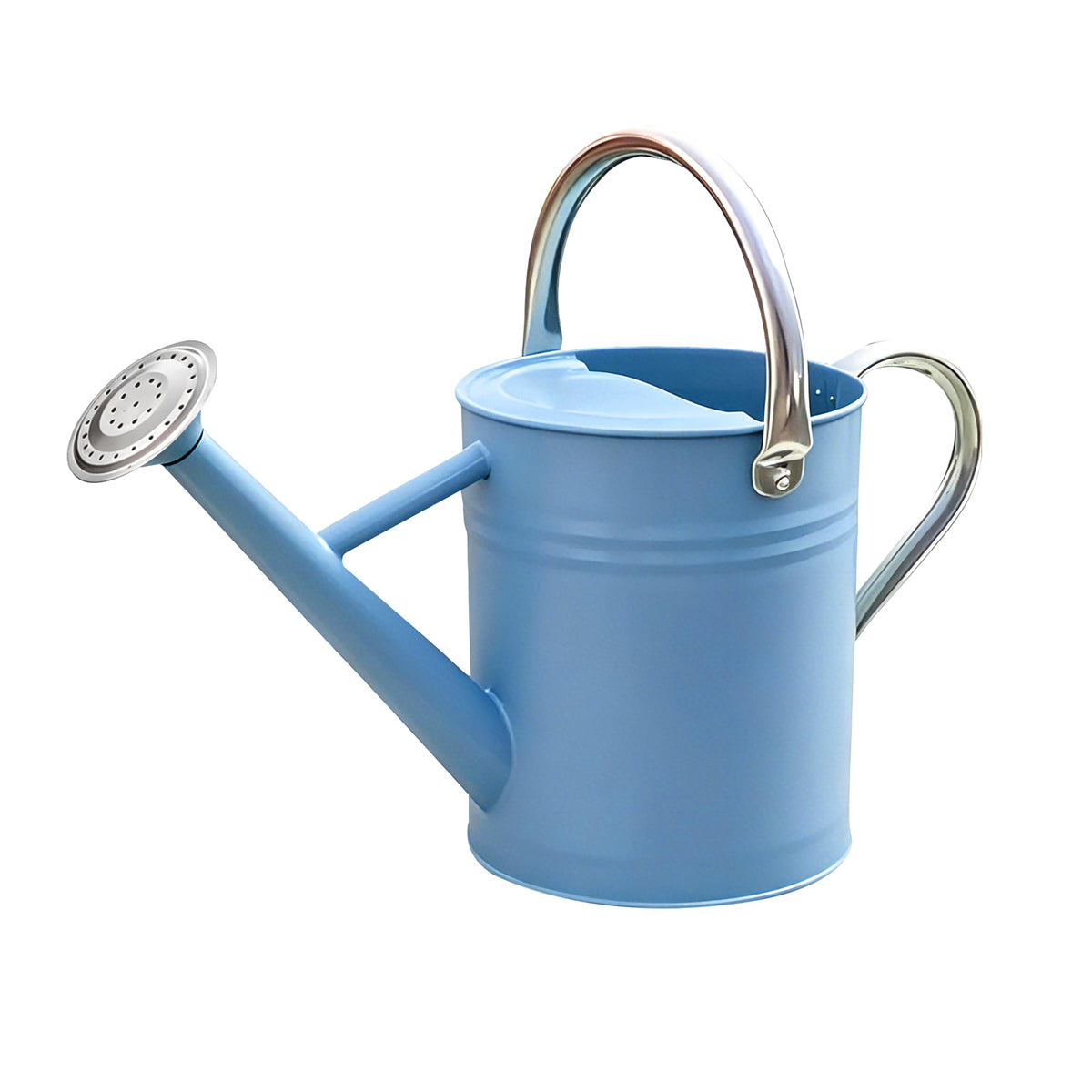 Metal Watering Can for Outdoor Plants, Watering Can Decor 1 Gallon (Zinc)