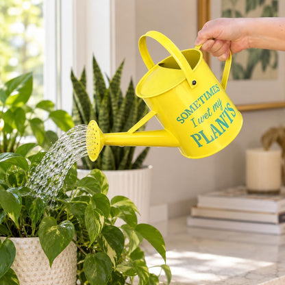 Small Indoor Watering Can - Galvanized Metal - Gardening Gifts for Women