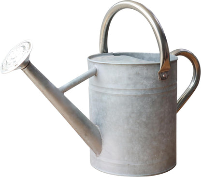 Metal Watering Can for Outdoor Plants, Watering Can Decor 1 Gallon (Zinc)