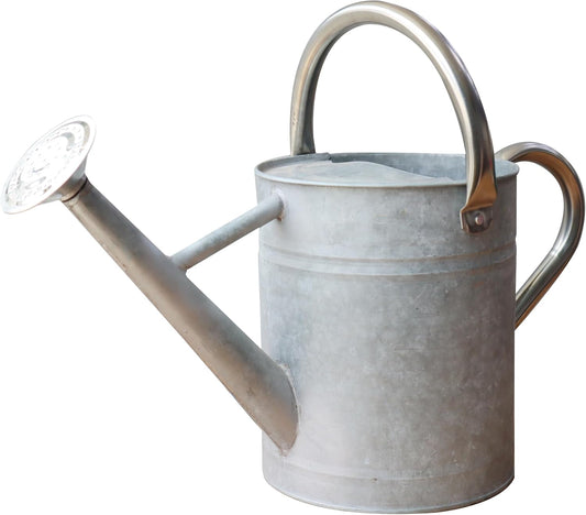 Metal Watering Can for Outdoor Plants, Watering Can Decor 1 Gallon (Zinc)