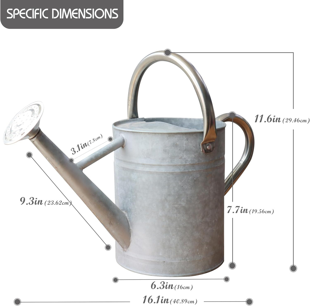 Metal Watering Can for Outdoor Plants, Watering Can Decor 1 Gallon (Zinc)