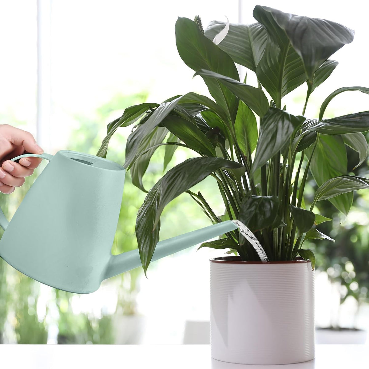 Plastic Watering Can - for Indoor and Outdoor House Plant Garden - with Long Spout - 1/2 Gallon - Light Green