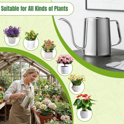 Plant Watering Can, 304 Stainless Steel Watering Can Indoor, 34 oz