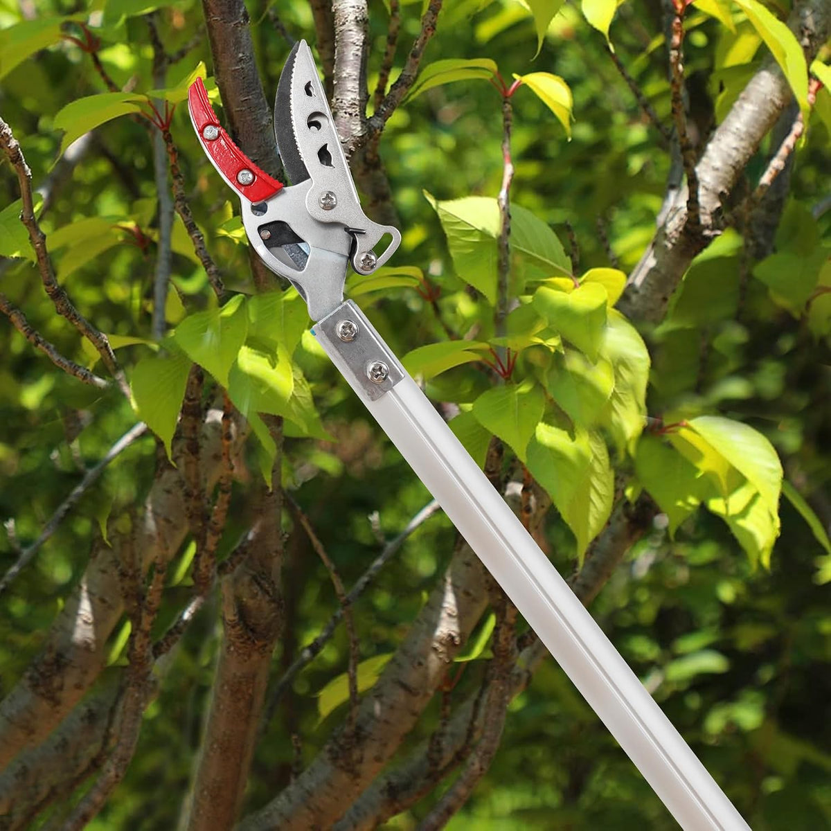 GARTOL Cut & Hold Pole Pruner, 4.2 FT Lightweight Fruit Picker with 180° Rotating Handle, SK5 Steel Blade Cuts up to 1/2 Inch, Long Reach Garden Tree Trimmer & Branch Cutter for Shrubs, Bushes