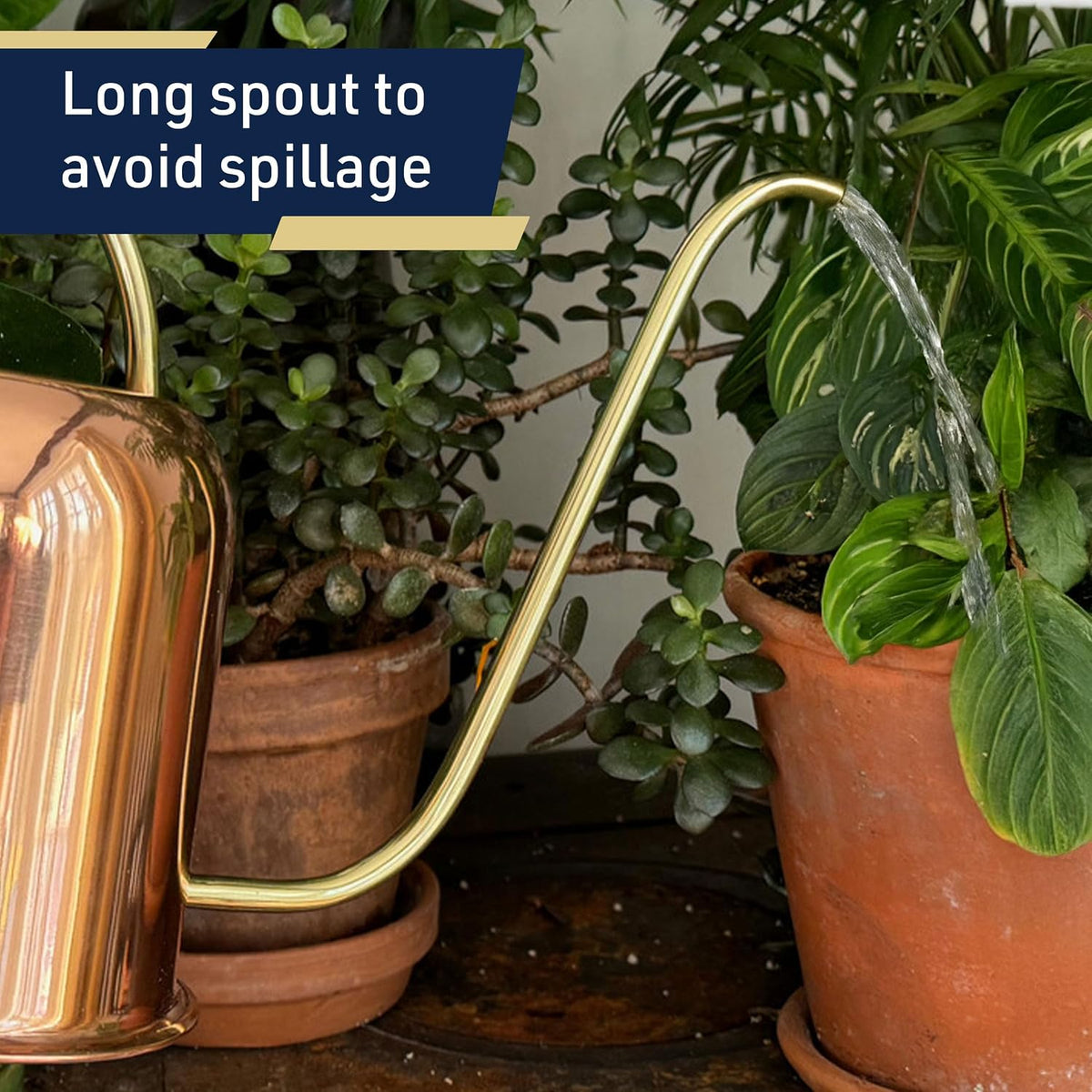Copper Watering Can Indoor Plants - 48oz Long Spout Precise Small Water Can for Plants, Bonsai, Succulents, Houseplants, or Garden - Metal Inside or Outdoor Plant Watering Cans by Kings County Tools