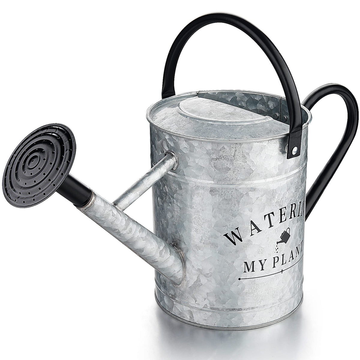 Garutom Galvanized Watering Can for Outdoor Indoor Plants, 1 Gallon Decorative Countryside Style Water Can with Removable Spout, Perfect Metal Watering Can for Indoor Plants and Garden Flower