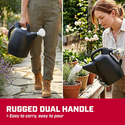 CHAPIN 47998 2-Gallon Watering Can for Indoor & Outdoor Plants