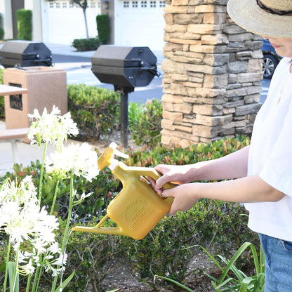 PETAL & FLOW Spray Sprinkler 2-in-1 Watering Can & Plant Mister Spray Bottle for Indoor & Outdoor Plants, 0.4 Gal (1.6L) (Olive)