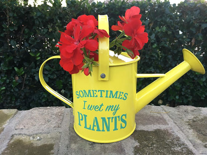 Small Indoor Watering Can - Galvanized Metal - Gardening Gifts for Women