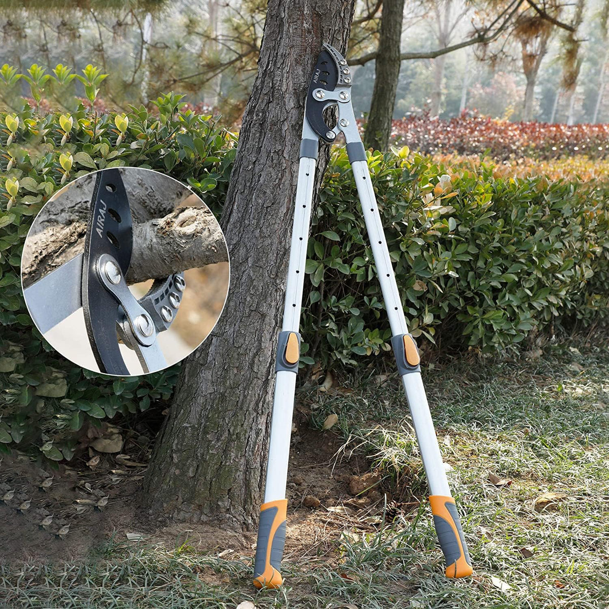 AIRAJ 27-41" Anvil Loppers for Tree Trimming Heavy Duty, Tree Branch Cutter